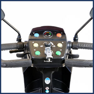 Amylior GS200